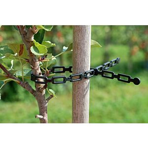 Rema Kettenband bindet jungen Baum-/Pflanzenstamm an einen Holzpfahl