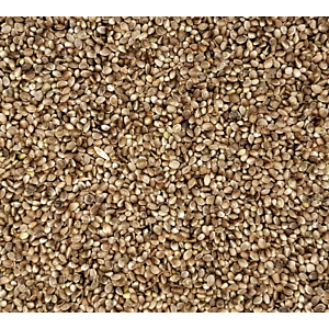 Vanrobaeys Hanfsaat als fettreiches Naturfutter für Tauben – fördert Paarungstrieb und Wachstum während Zucht- und Reisezeit